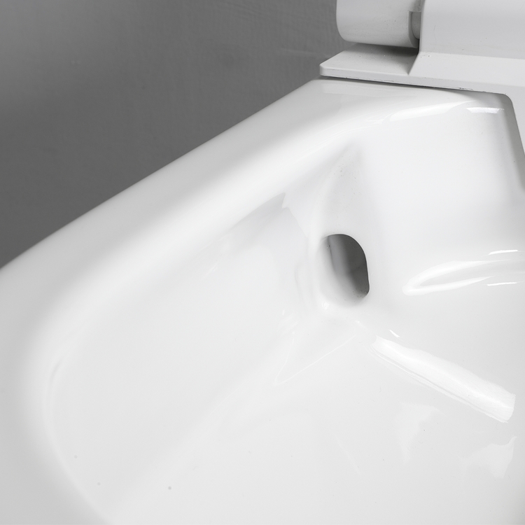 BF2499 WC Suspendu en Céramique avec Revêtement Antibactérien – Design Moderne et Gain de Place