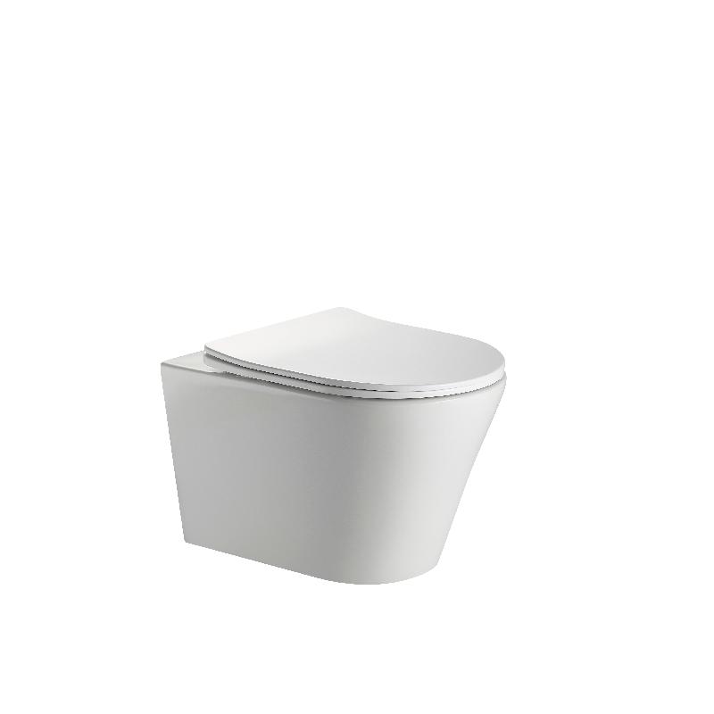 BF2490D Floor-Mounted Modern Toilet | Rimless Silent Flush | Compact Ceramic WC