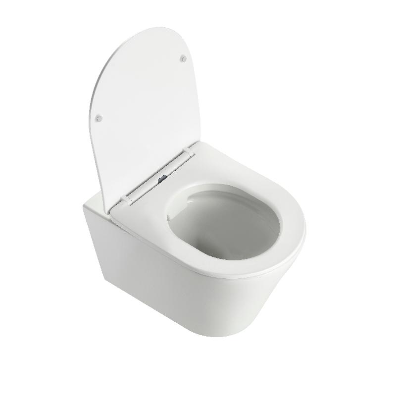 BF2490D Floor-Mounted Modern Toilet | Rimless Silent Flush | Compact Ceramic WC