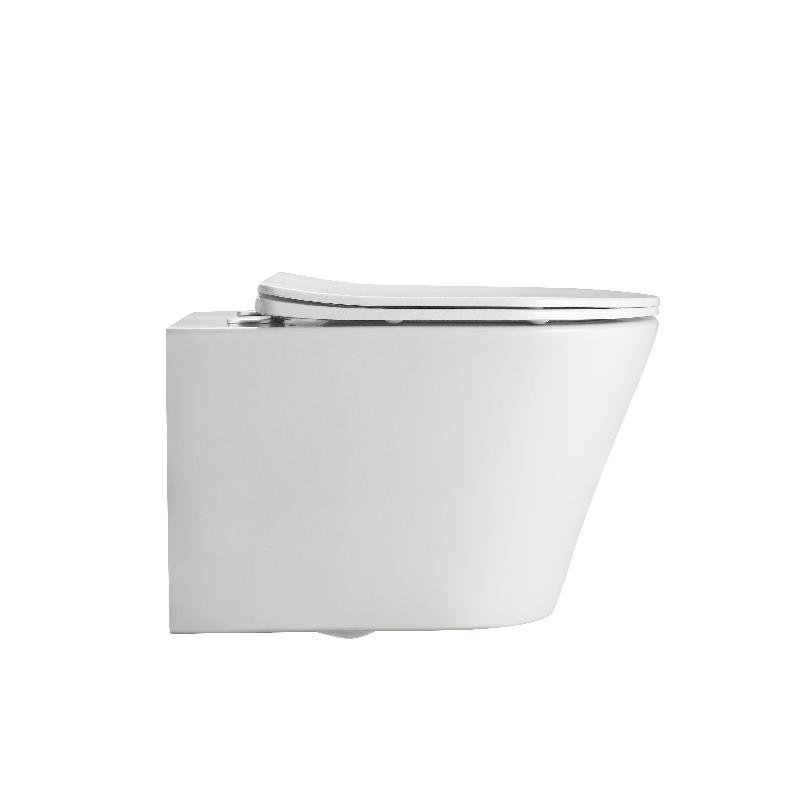 BF2490D Floor-Mounted Modern Toilet | Rimless Silent Flush | Compact Ceramic WC