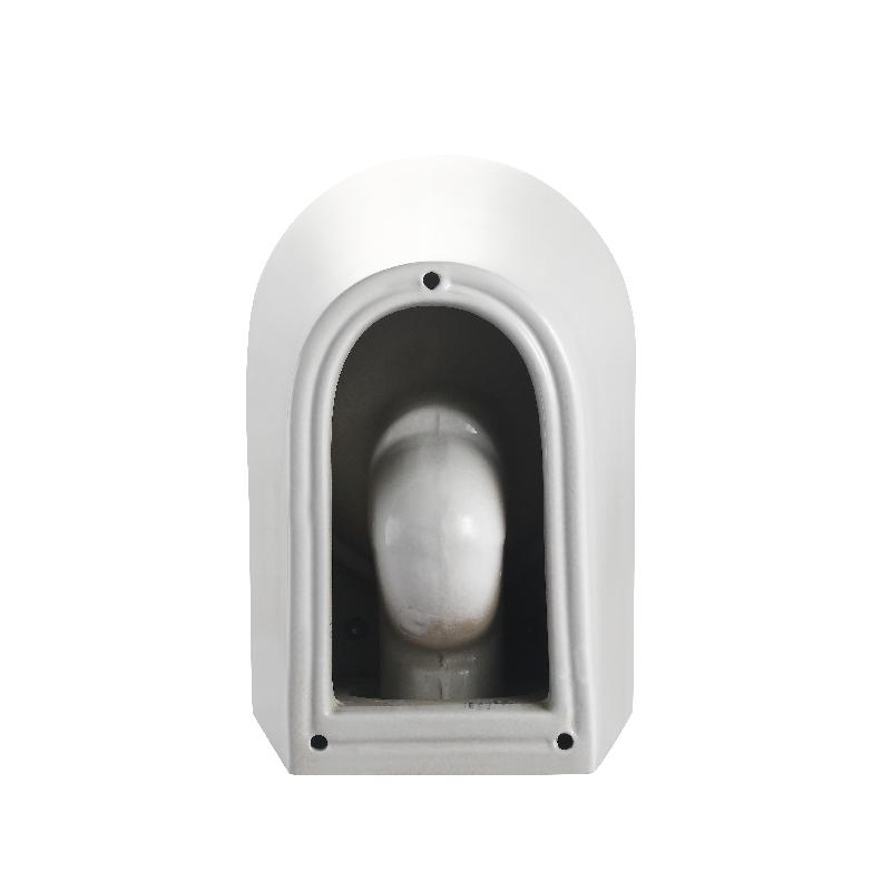 BF2490D Floor-Mounted Modern Toilet | Rimless Silent Flush | Compact Ceramic WC