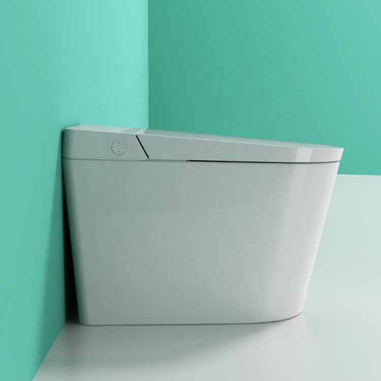 BF-G18 smart floor mounted toilet