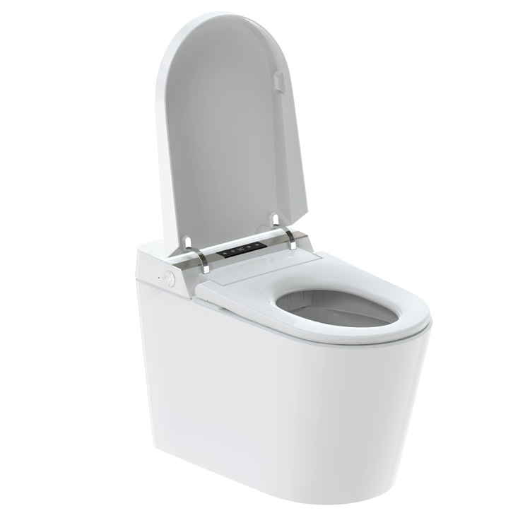 BF-G18 smart floor mounted toilet