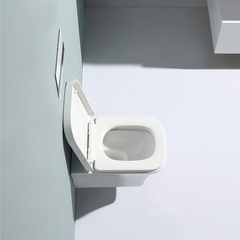BF2482 Rimless Wall Hung Toilet Vortex Washdown WC with Soft Close UF Seat