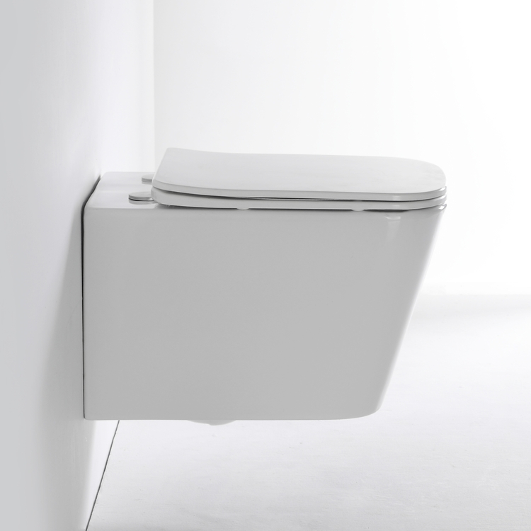 BF2440D Wall-Mounted Modern Toilet Design