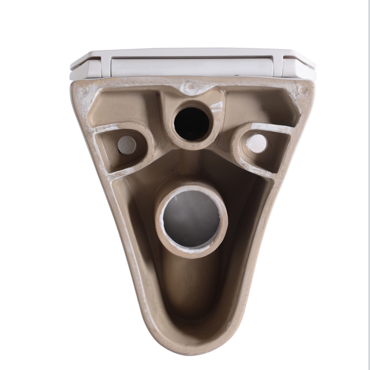 BF2420D Wall-Hung Ceramic Toilet with Soft-Close UF Seat