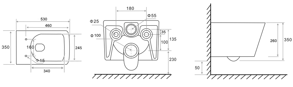 Modern Rimless Wall Hung Toilet with Soft Close UF Seat | BF2467