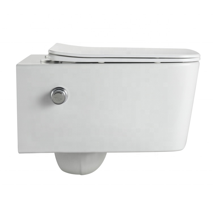 BF2467D-BD wall hung toilet with built-in shower
