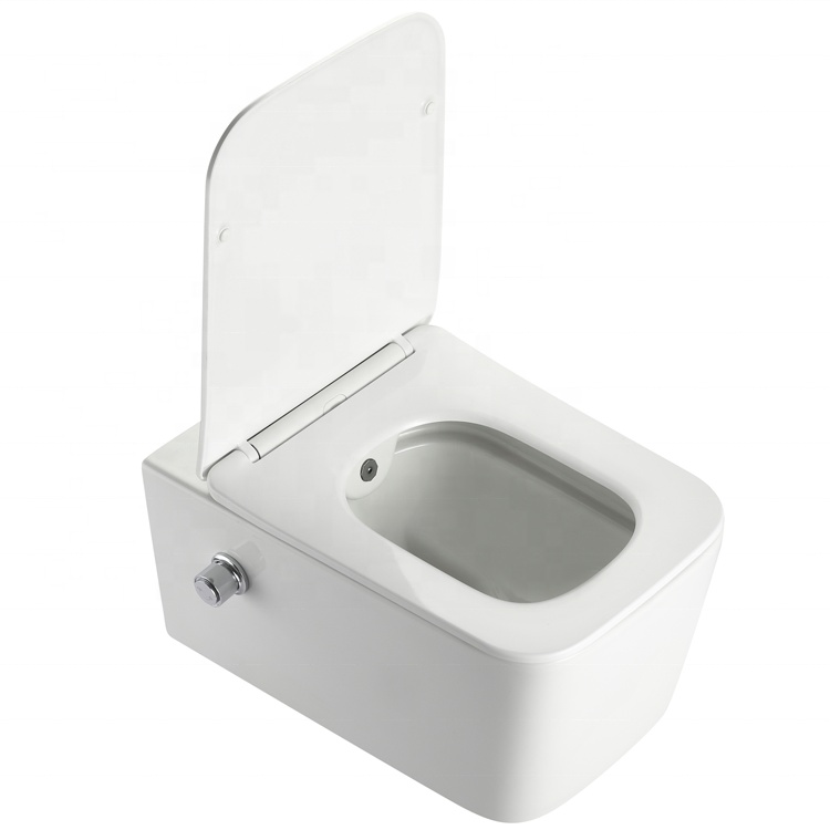 BF2467D-BD wall hung toilet with built-in shower