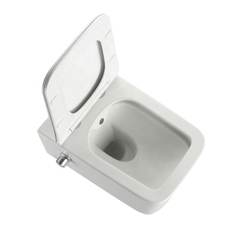 BF2467D-BD wall hung toilet with built-in shower