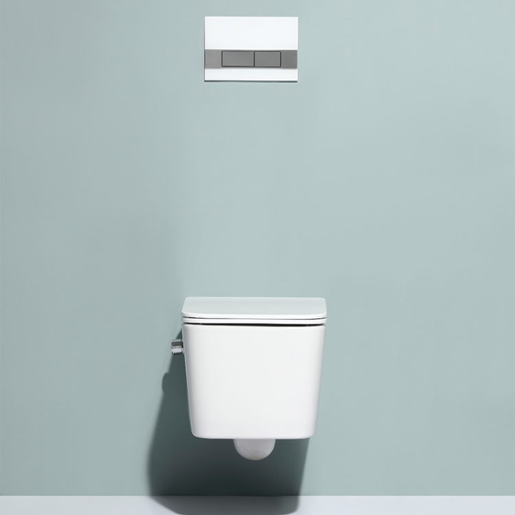 BF2467D-BD wall hung toilet with built-in shower
