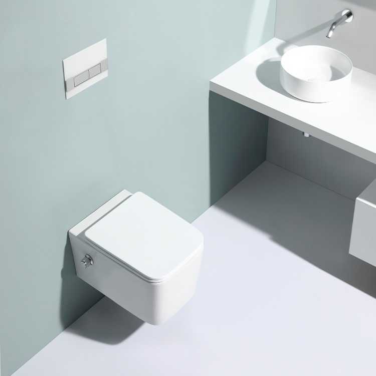 BF2467D-BD wall hung toilet with built-in shower