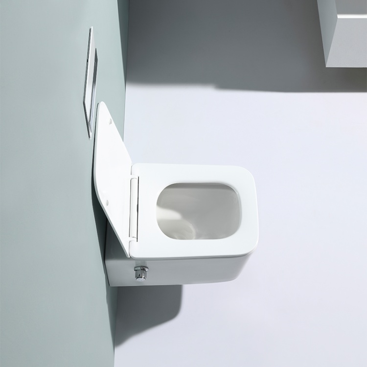 BF2467D-BD wall hung toilet with built-in shower