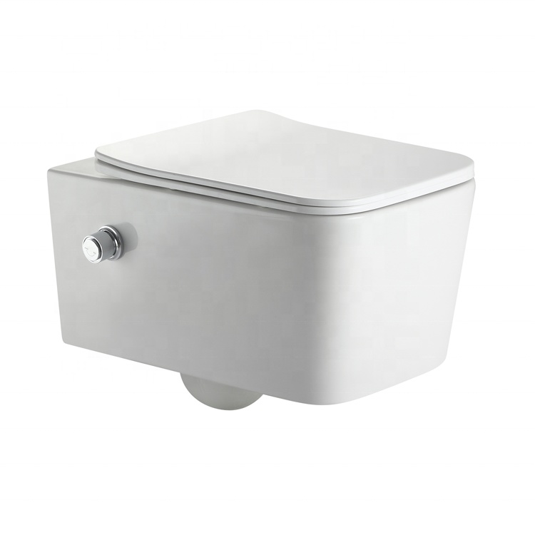 BF2467D-BD wall hung toilet with built-in shower