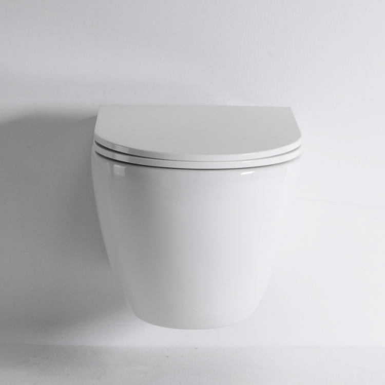 New Vortex Wall Hung Toilet - Model BF2416E