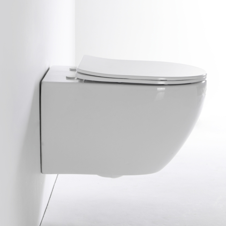 2416D Wall-Hung Toilet