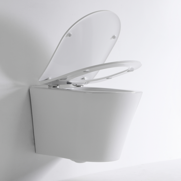 New Vortex Wall Hung Toilet BF2419E