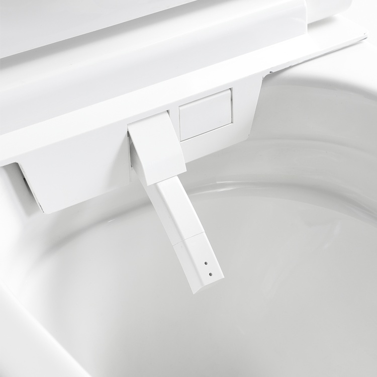 BF2499 Smart Wall-Hung Toilet | Intelligent Rimless WC with Heated Seat