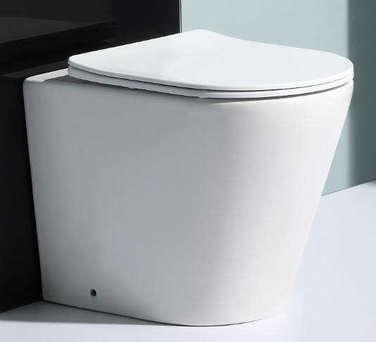 BF2580E Modern One‑Piece Elongated Skirted Toilet – Soft‑Close Dual‑Flush