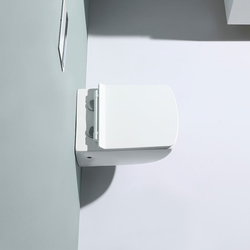 High-Efficiency Ceramic Rimless Wall Hung Toilet with Soft-Close Seat