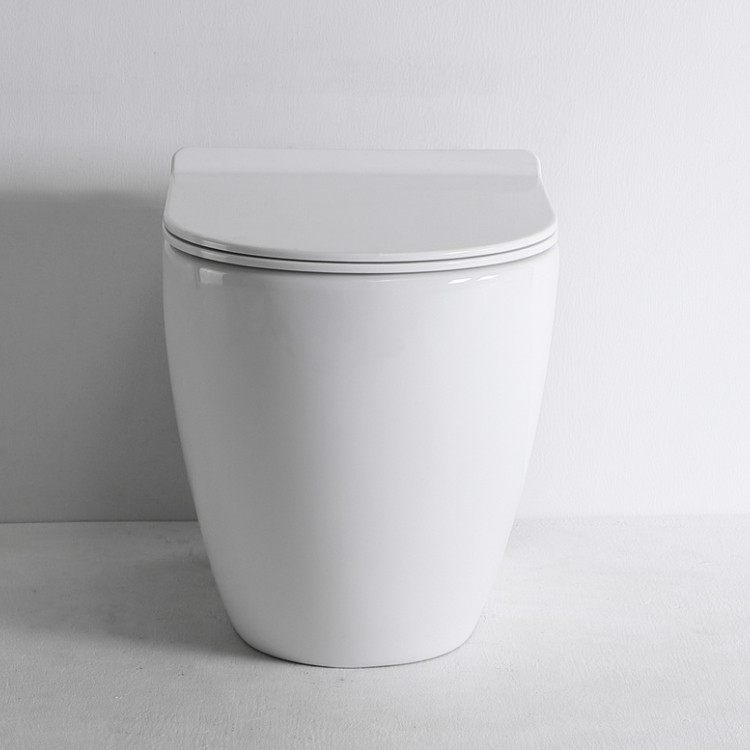 High-Efficiency Ceramic Toilet with Soft-Close UF Seat