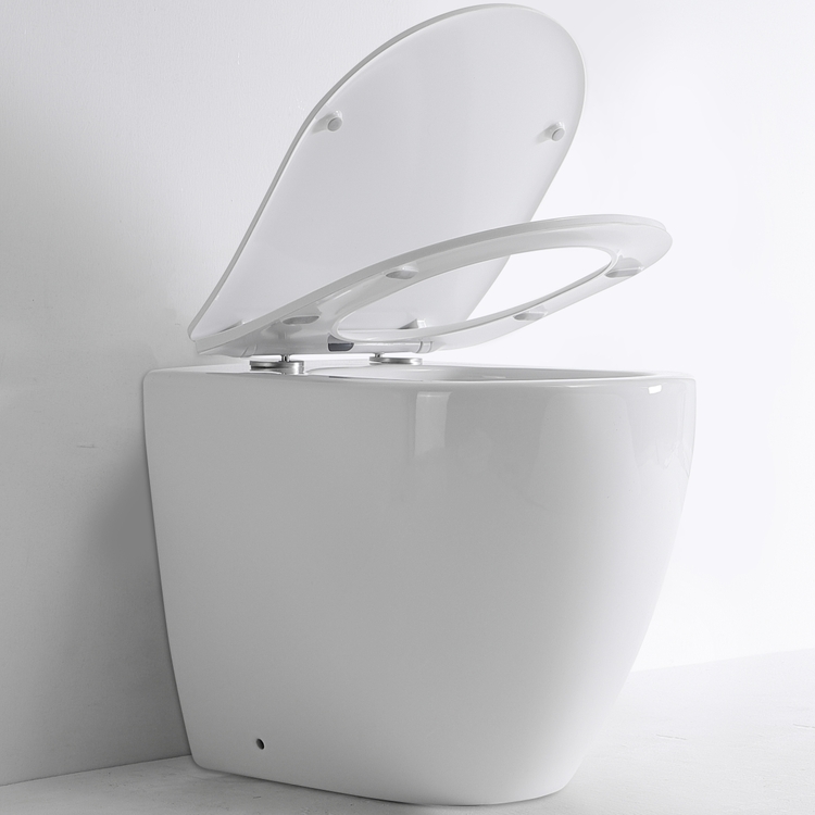 High-Efficiency Ceramic Toilet with Soft-Close UF Seat