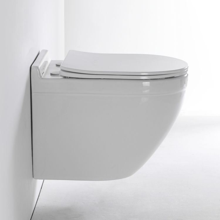 Modern Rimless Wall Hung Toilet Model BF2442D