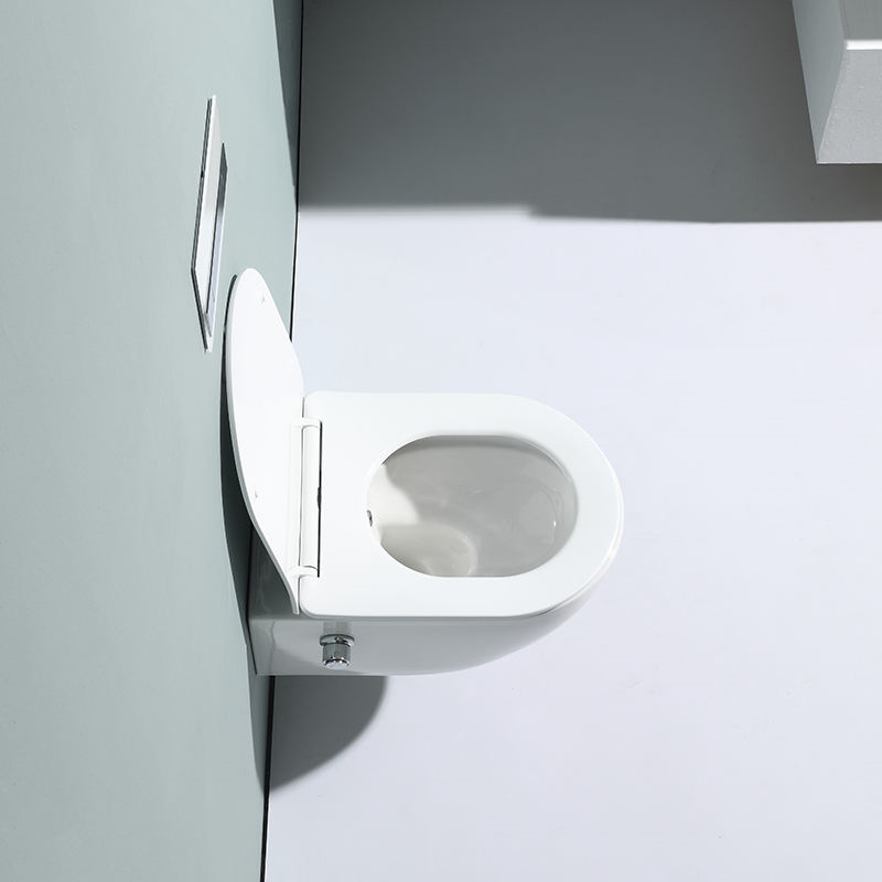 Rimless Wall Hung Ceramic Toilet Dual Flush Space Saving Modern WC