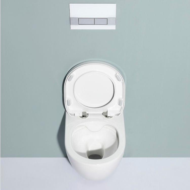 Modern Ceramic Wall Hung Toilet 450×360×350mm Washdown Flushing Soft Close UF Seat