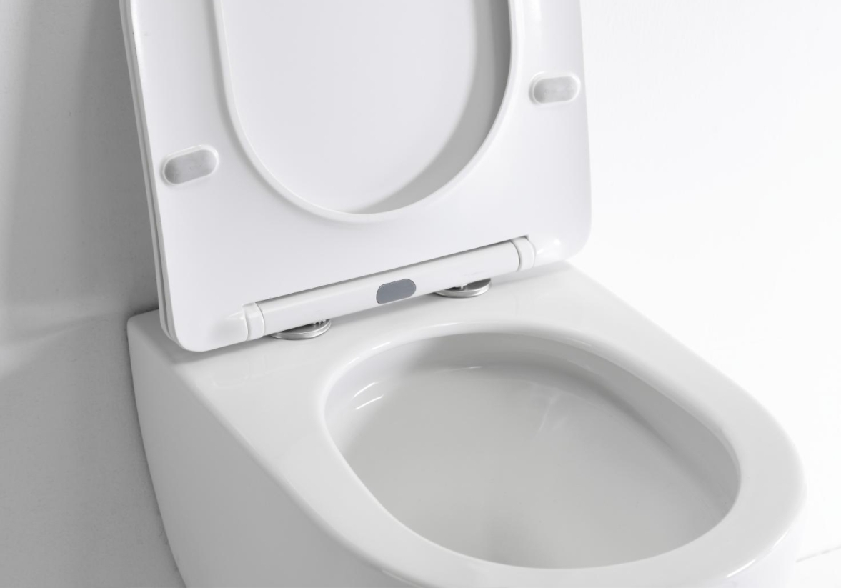 Wall Hung Rimless Toilet BF2418D Compact Ceramic WC Soft Close Seat Modern Bathroom