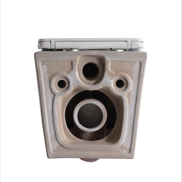 Modern Ceramic Wall Hung Toilet 505×340×360mm Washdown Flush Soft Close UF Seat