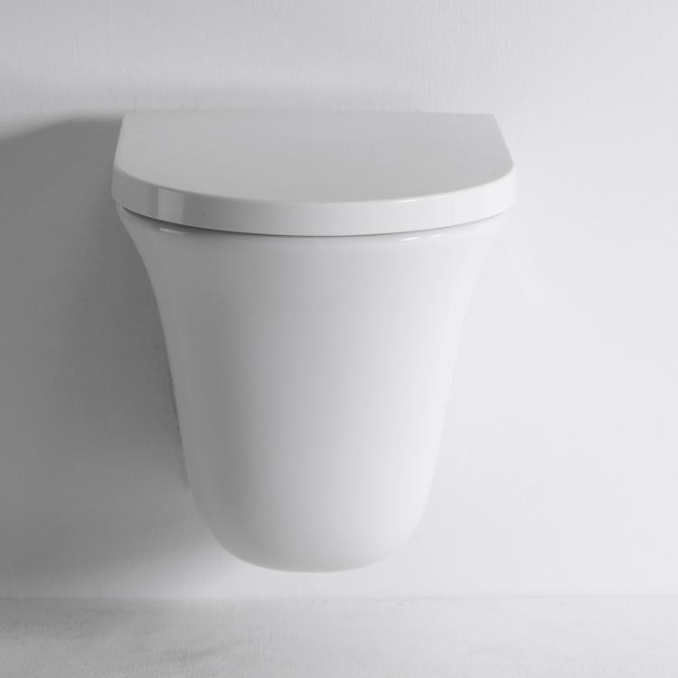 Sleek Floating Toilet for Contemporary Bathrooms