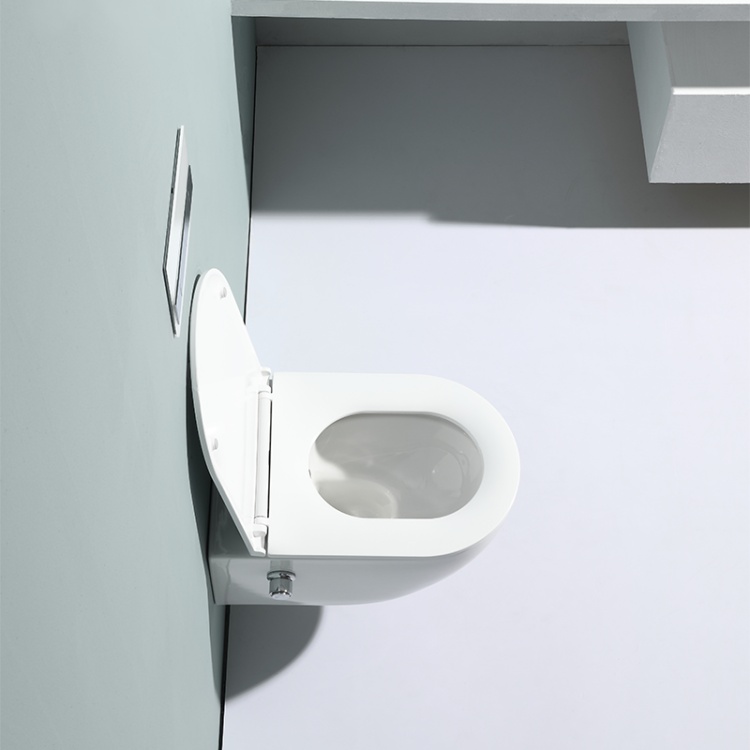 BF2468E-BD wall hung toilet with built-in shower