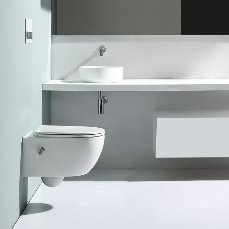 BF2468E-BD wall hung toilet with built-in shower