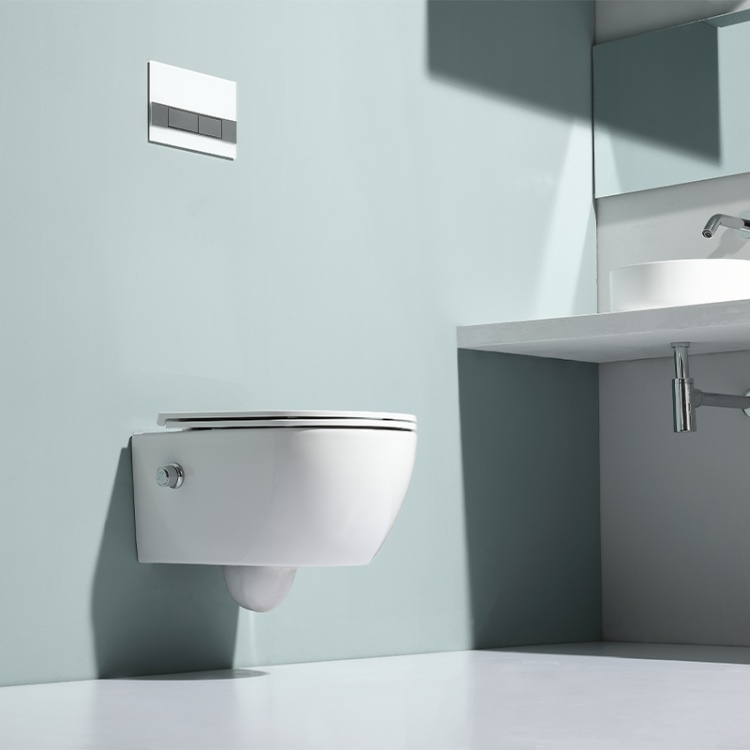 BF2468E-BD wall hung toilet with built-in shower