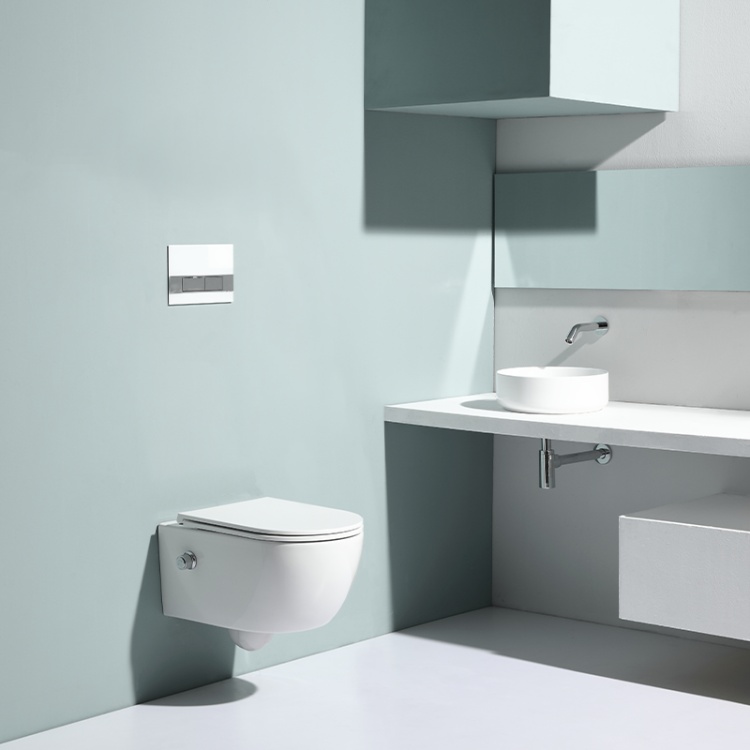 BF2468E-BD wall hung toilet with built-in shower