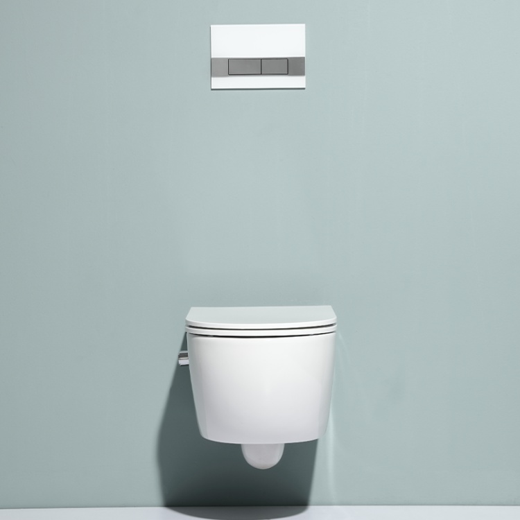 BF2468E-BD wall hung toilet with built-in shower