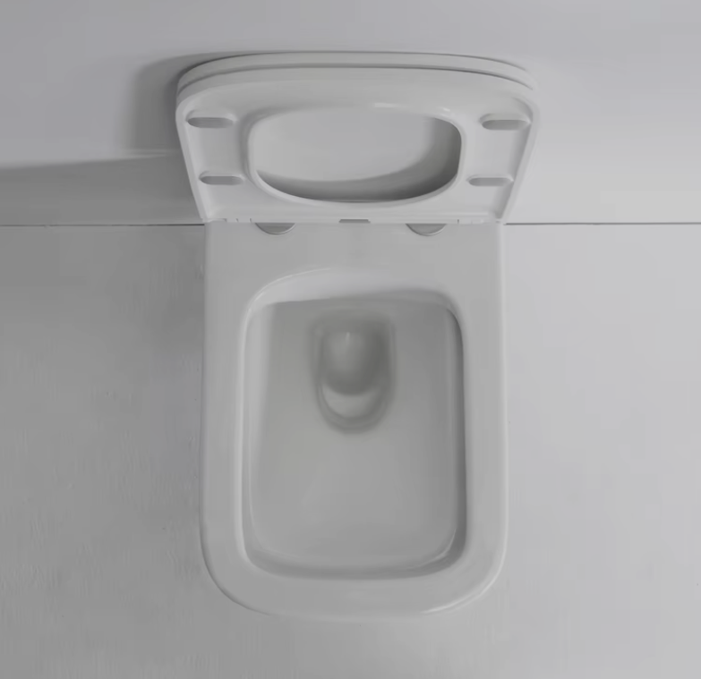 Toilette murale sans bride 2440D en céramique – design moderne, économie d’eau et nettoyage hygiénique