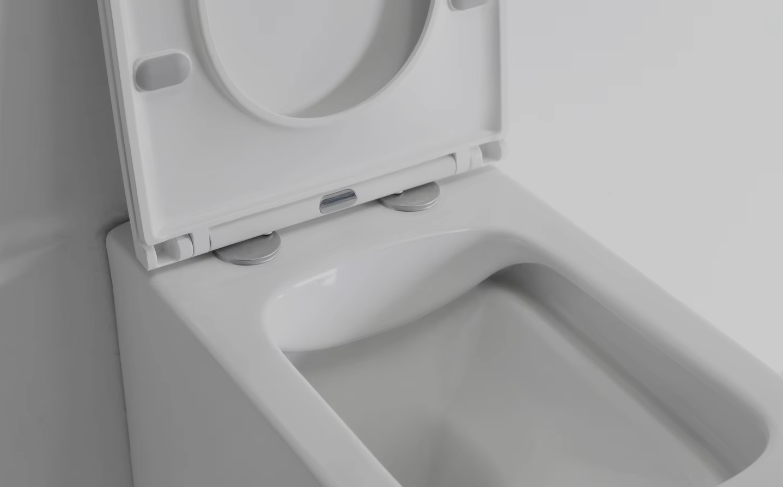 Toilette murale sans bride 2440D en céramique – design moderne, économie d’eau et nettoyage hygiénique
