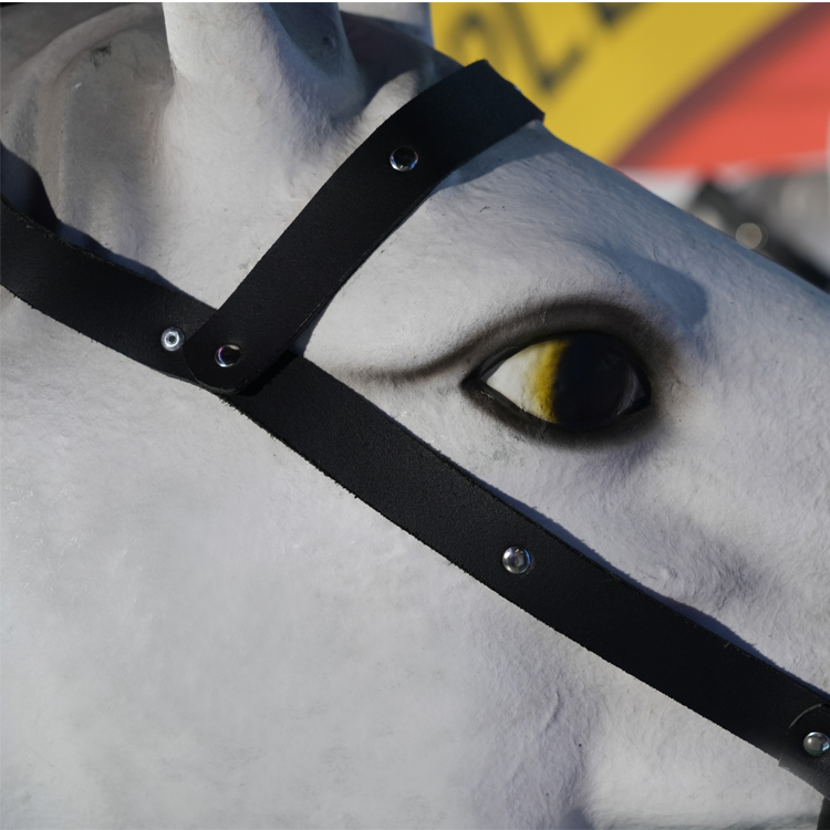 Equestrian Competition