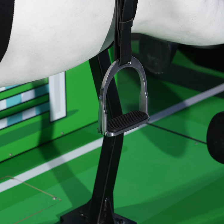 Equestrian Competition