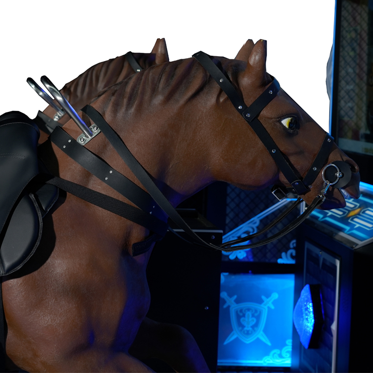 Dragon Knight Horse Racing