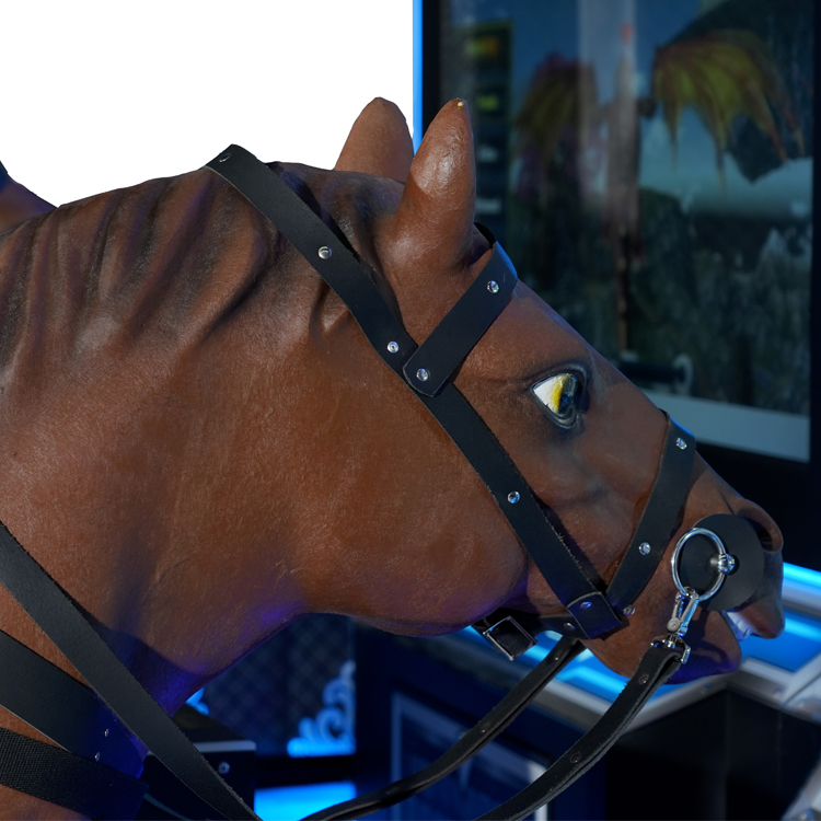 Dragon Knight Horse Racing