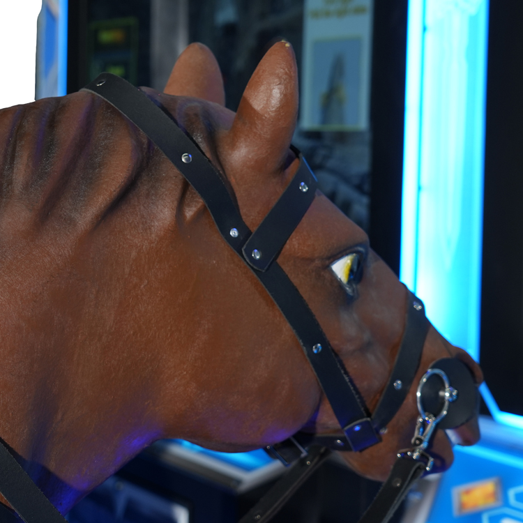 Dragon Knight Horse Racing