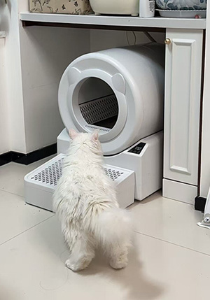 <span>Customer application scenarios</span>