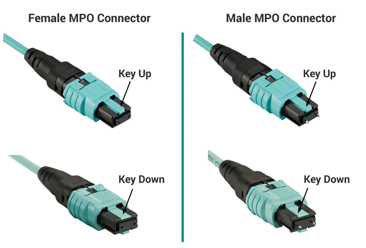 What are the Differences Between Female MPO Connector and Male MPO Connector?