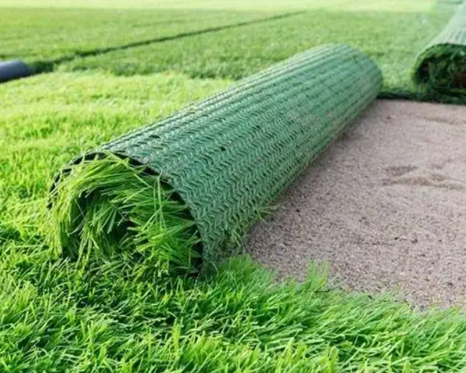 Which is more suitable for sports, the net grass or the monofilament grass in the simulated lawn