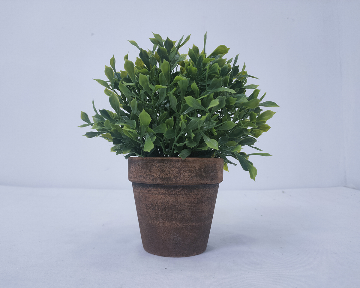 Simulated potted plant of Shandan leaves