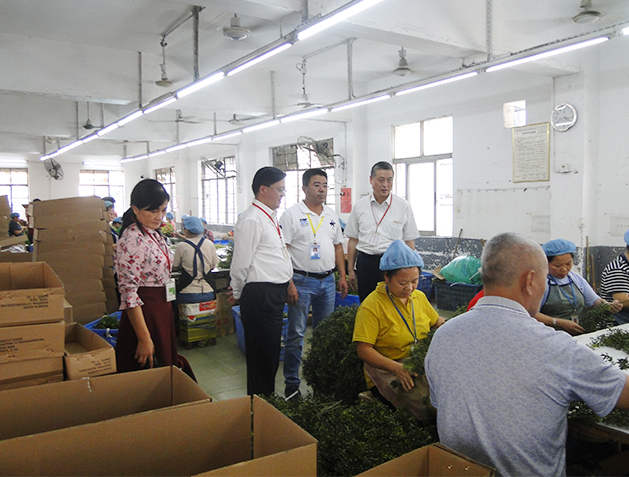 
	
Feixi customers to visit the factory 
