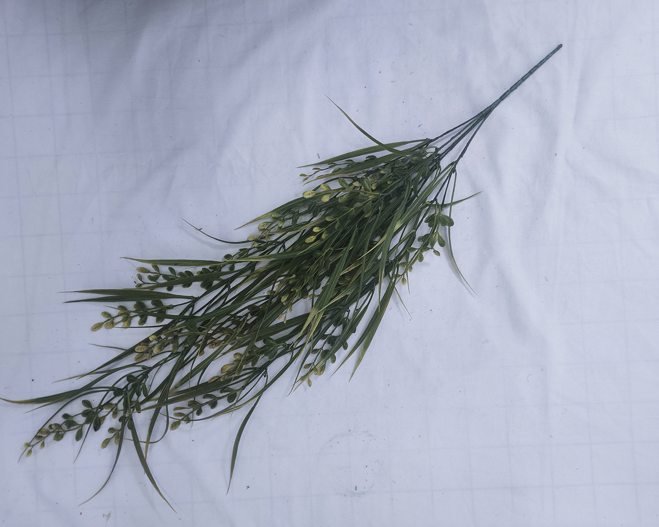 C simulation hanging rattan of Acacia leaves